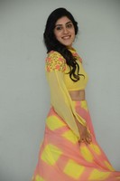 Dhanya Balakrishna New Photo Images